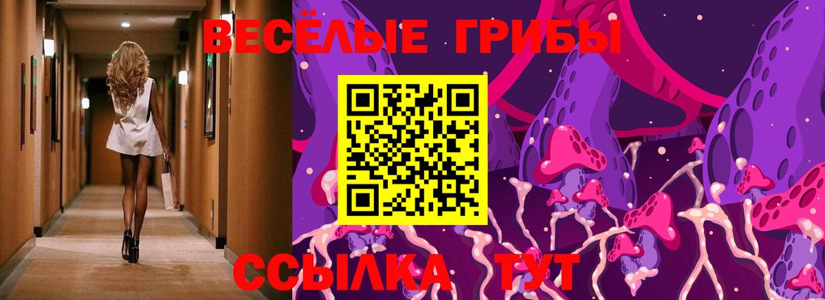 Галлюциногенные грибы MAGIC MUSHROOMS  Псилоцибиновые грибы GOLDEN TEACHER  Сосновоборск  Вход с VPN 