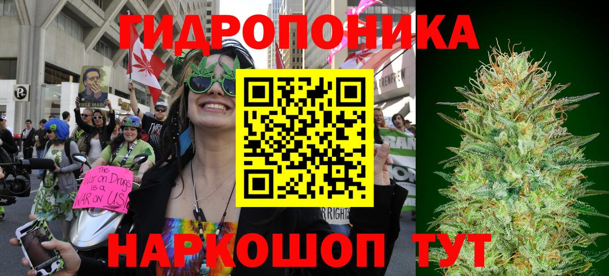 Бошки марихуана SATIVA & INDICA Сосновоборск